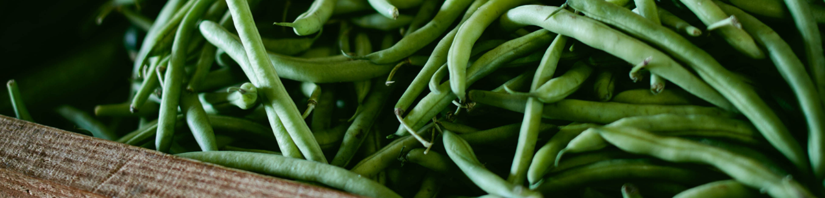 closeup of fresh green beans